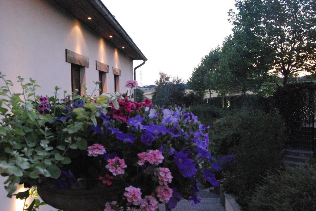 Hostellerie Gilain Achene ภายนอก รูปภาพ